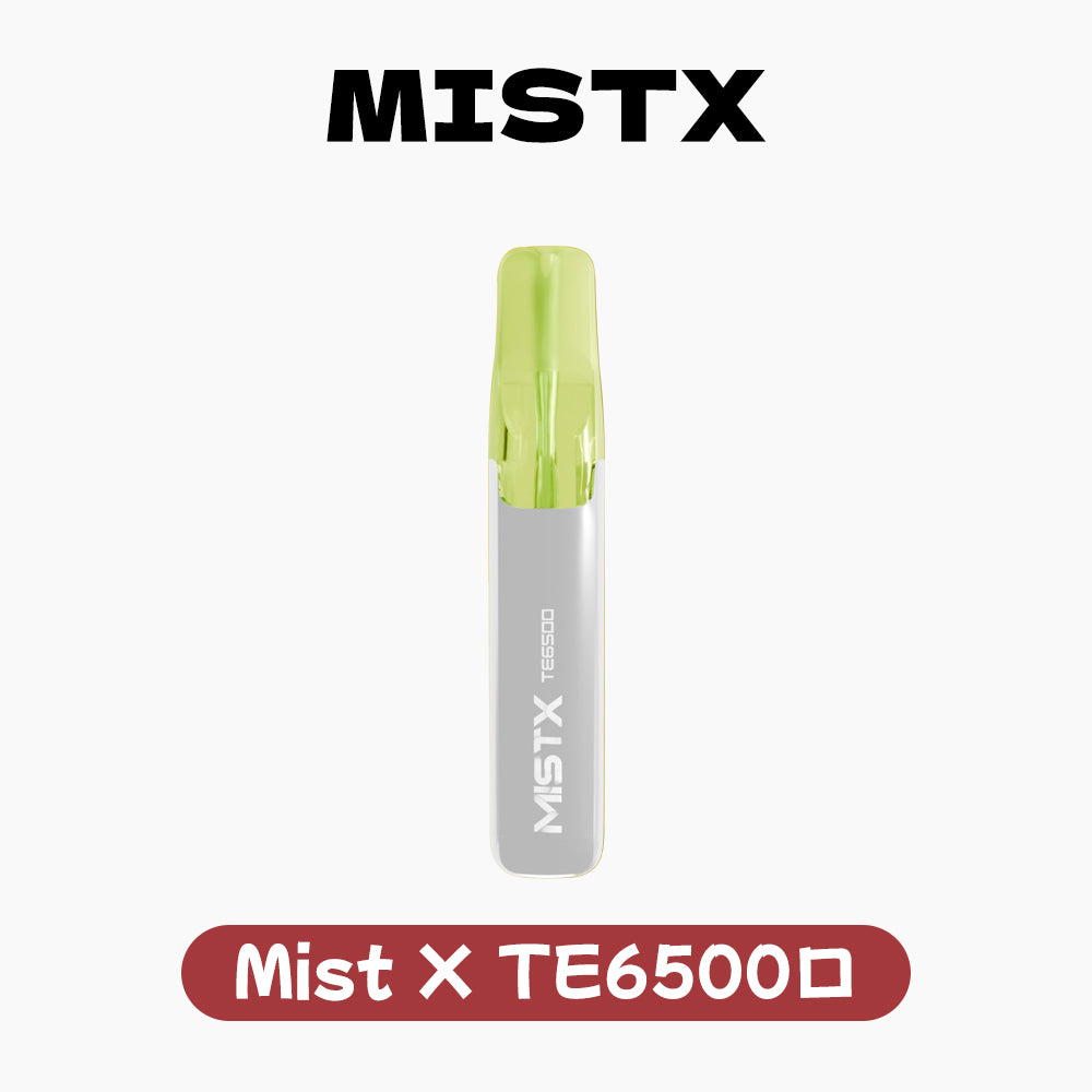 Mist X 拋棄式 鴨嘴獸 6500口 ｜【極致貼合】人體工學吸嘴・大容量長續航・穩定恆壓霧化